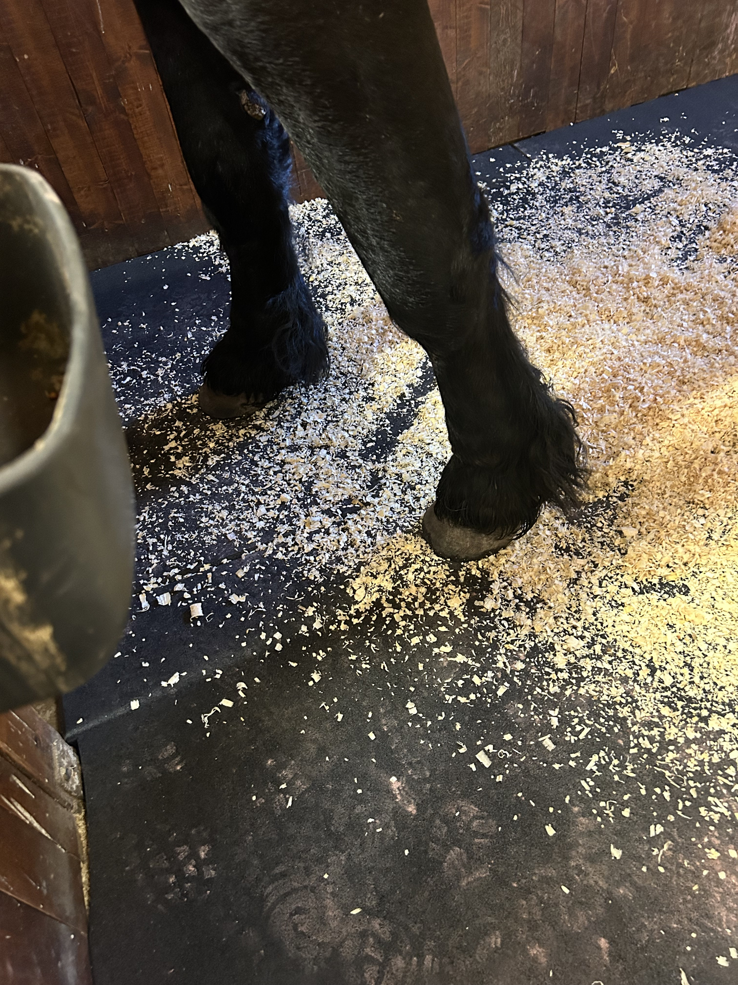 Tallikumilaatta 20 mm - Image 3